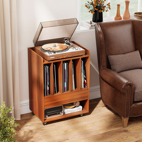 Record Player Stand Turntable Stand with Drawer and Record Holder, Walnut
