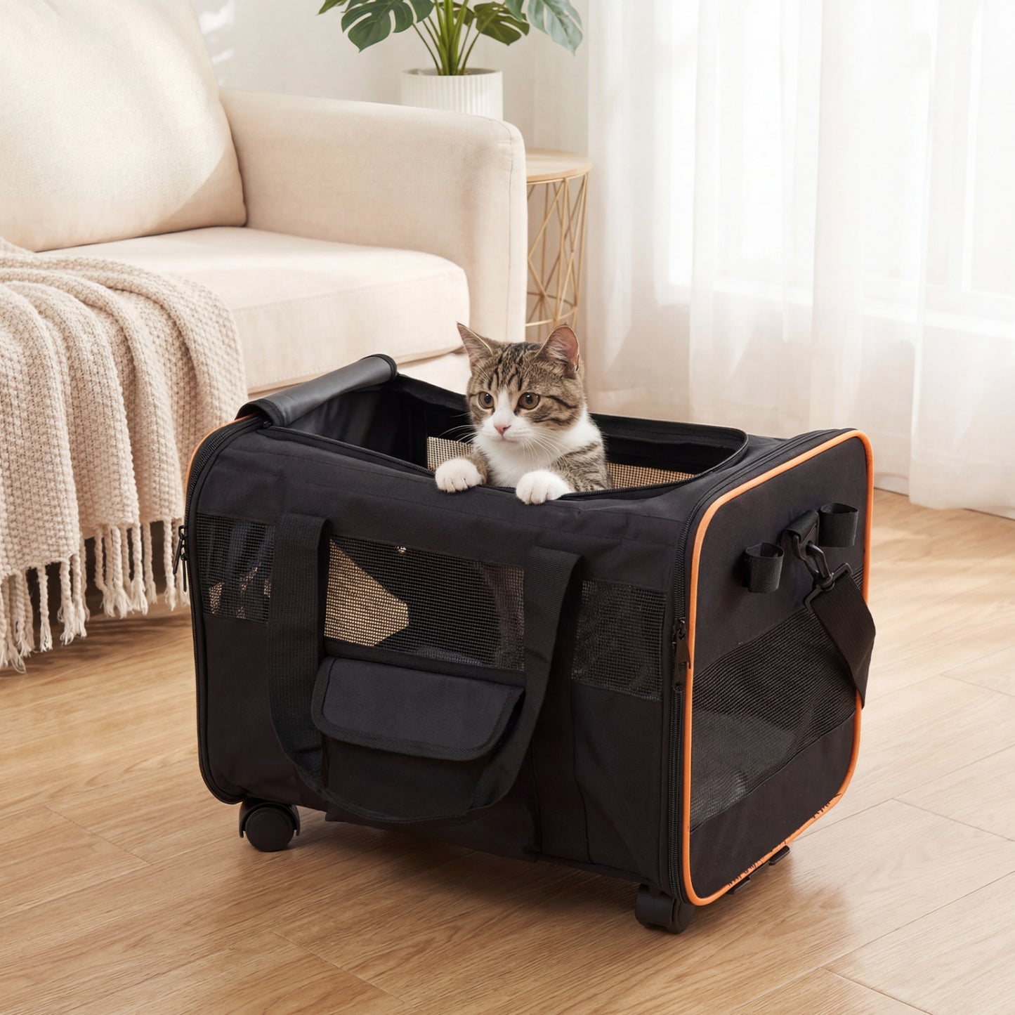 Foldable Soft-Sided Rolling Pet Carrier, Black Dog Supplies at Gallery Canada