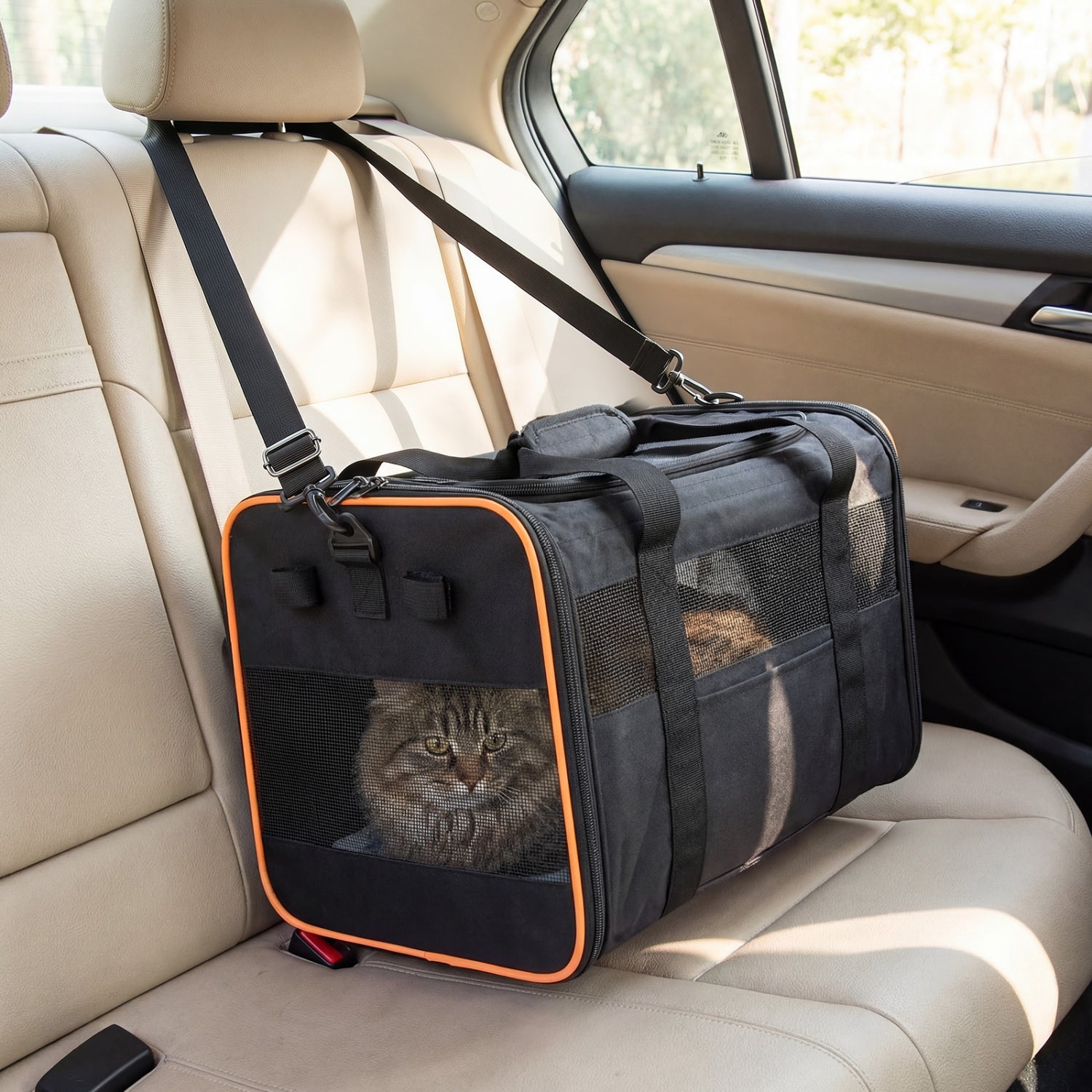 Foldable Soft-Sided Rolling Pet Carrier, Black Dog Supplies at Gallery Canada
