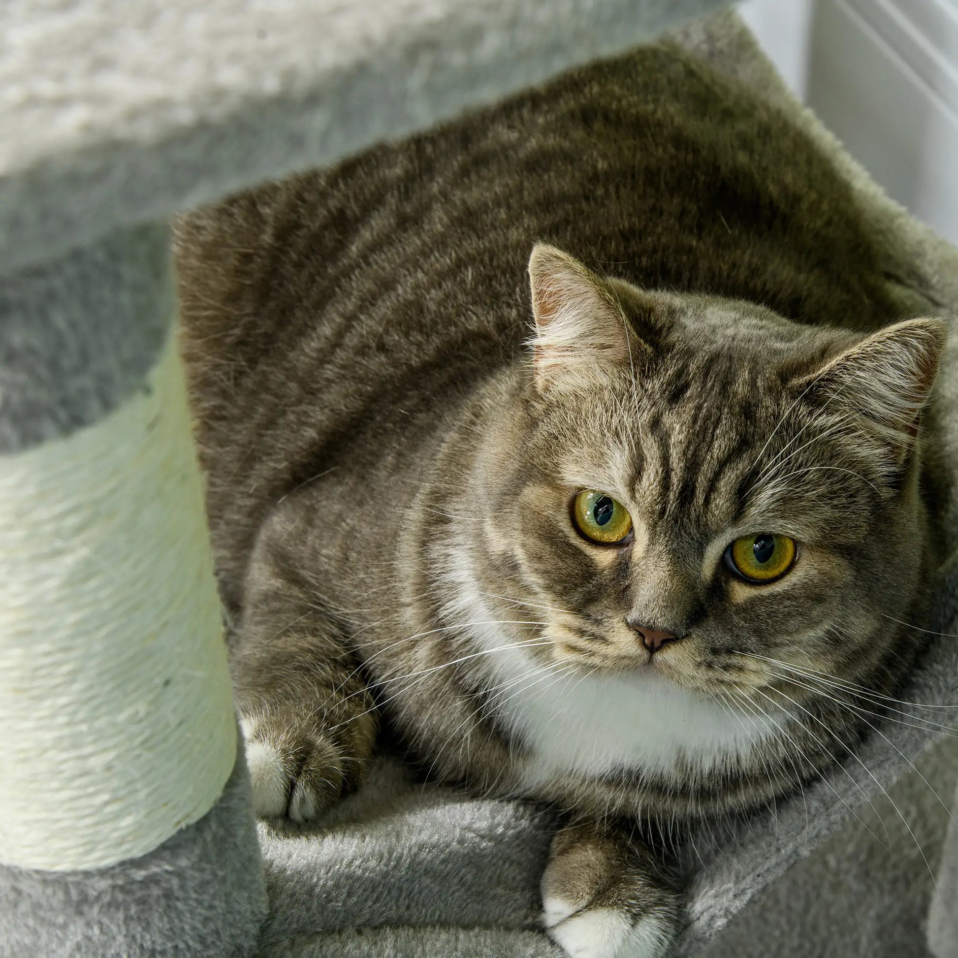 56" Tall Cat Tree, Multi-Level Tower with Hammock, Bed, Condo, Sisal Scratching Posts, Grey Cat Towers at Gallery Canada