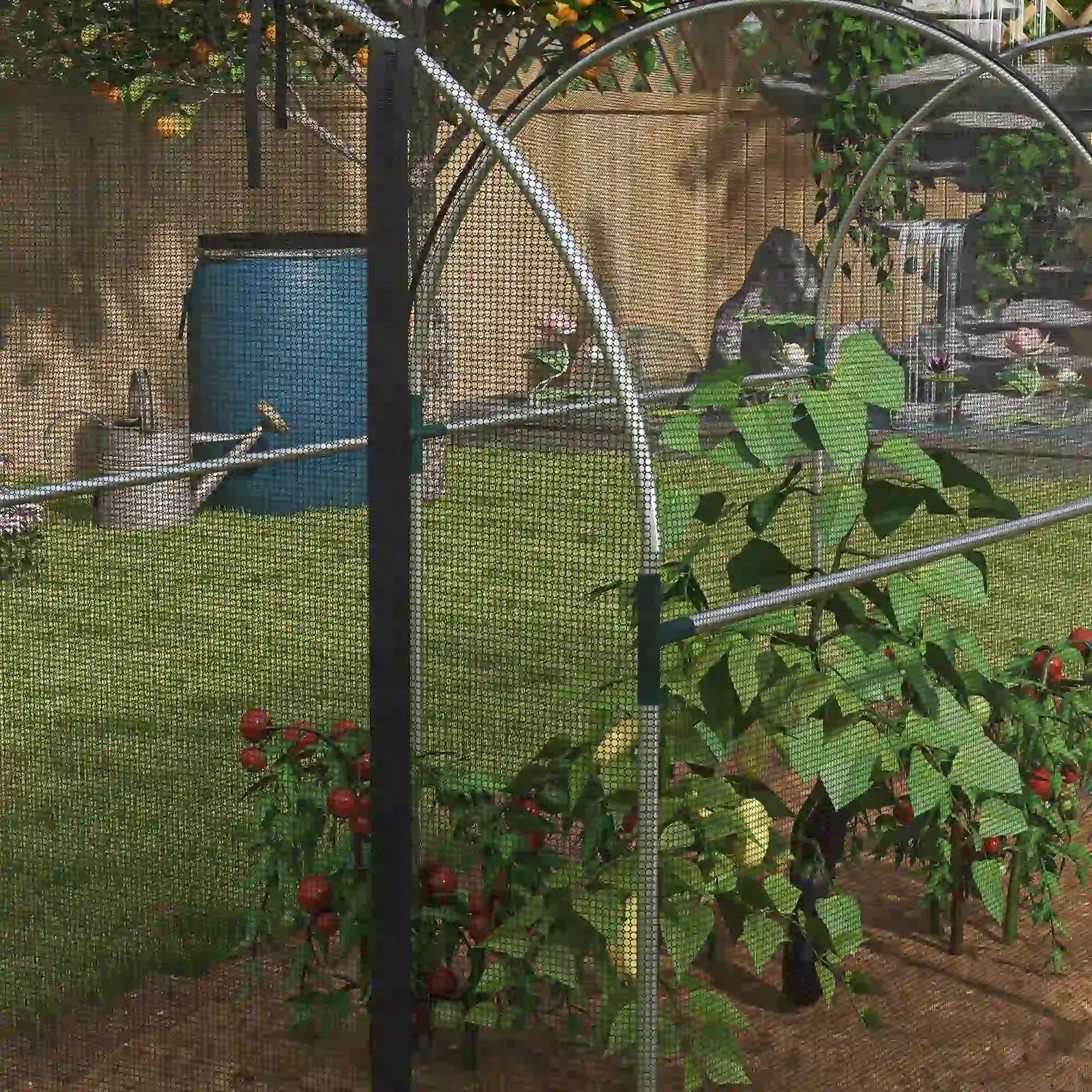 9.8' x 3.9' Crop Cage, Mesh Plant Protection Tent, Galvanised Steel Frame Greenhouses at Gallery Canada