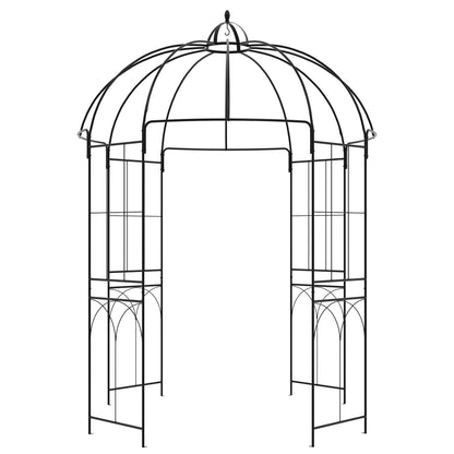 Birdcage Shape Arbour, Metal Garden Pergola for Climbing Plants Garden Arches Black at Gallery Canada