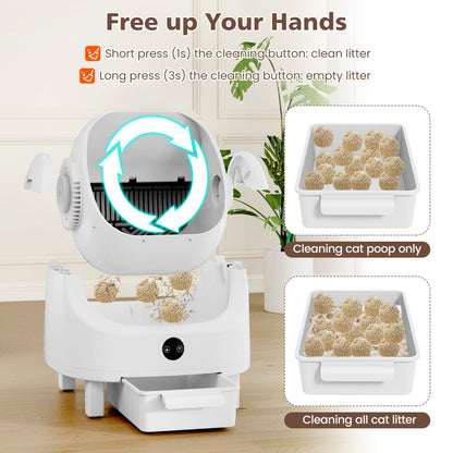 Self-Cleaning Open-Top Cat Litter Box for Multi-Cat and Senior Cats Home Cat Supplies at Gallery Canada