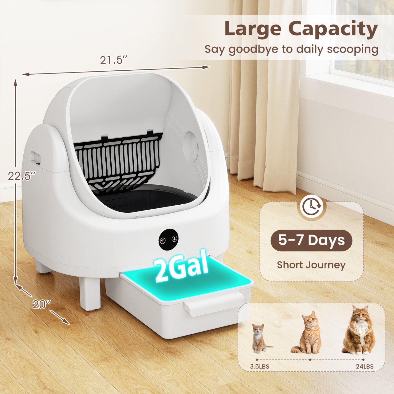 Self-Cleaning Open-Top Cat Litter Box for Multi-Cat and Senior Cats Home Cat Supplies at Gallery Canada