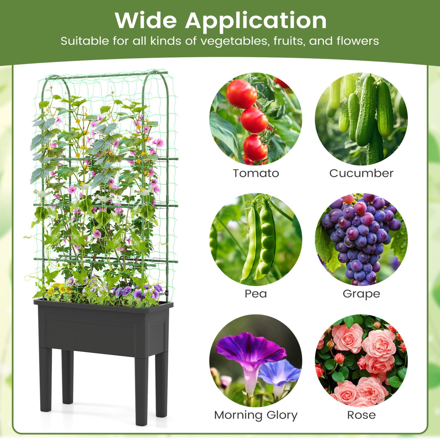 Self-Watering Raised Garden Bed, Elevated Planter With Climbing Trellis, Black Raised Garden Beds at Gallery Canada
