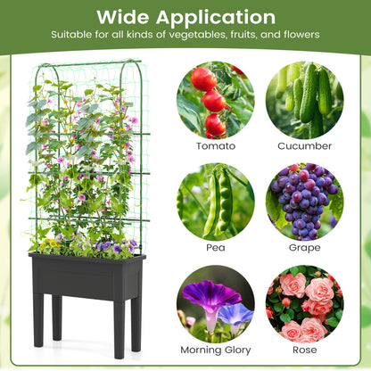 Self-Watering Raised Garden Bed, Elevated Planter With Climbing Trellis, Black Raised Garden Beds at Gallery Canada
