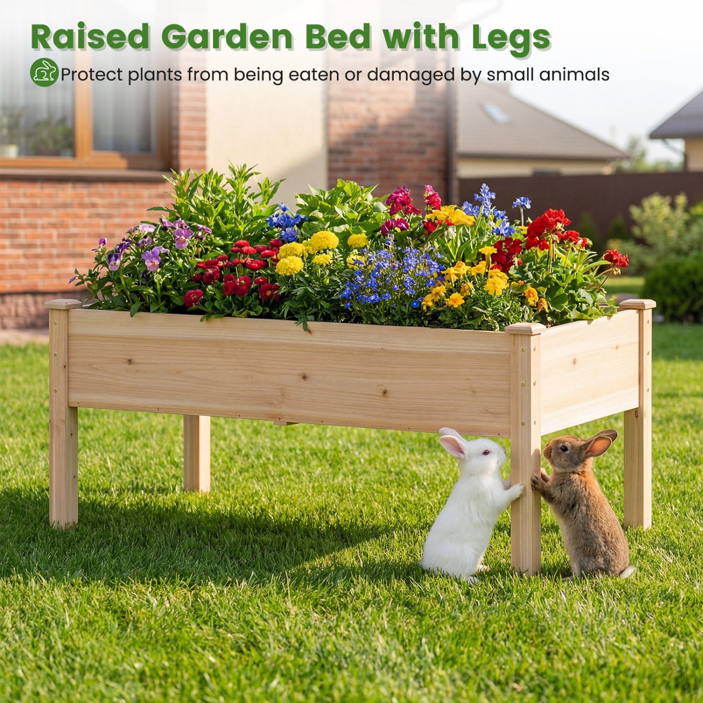 Wooden Raised Garden Bed With Legs, Natural Fir Wood, Elevated Planter Box, Natural Raised Garden Beds at Gallery Canada