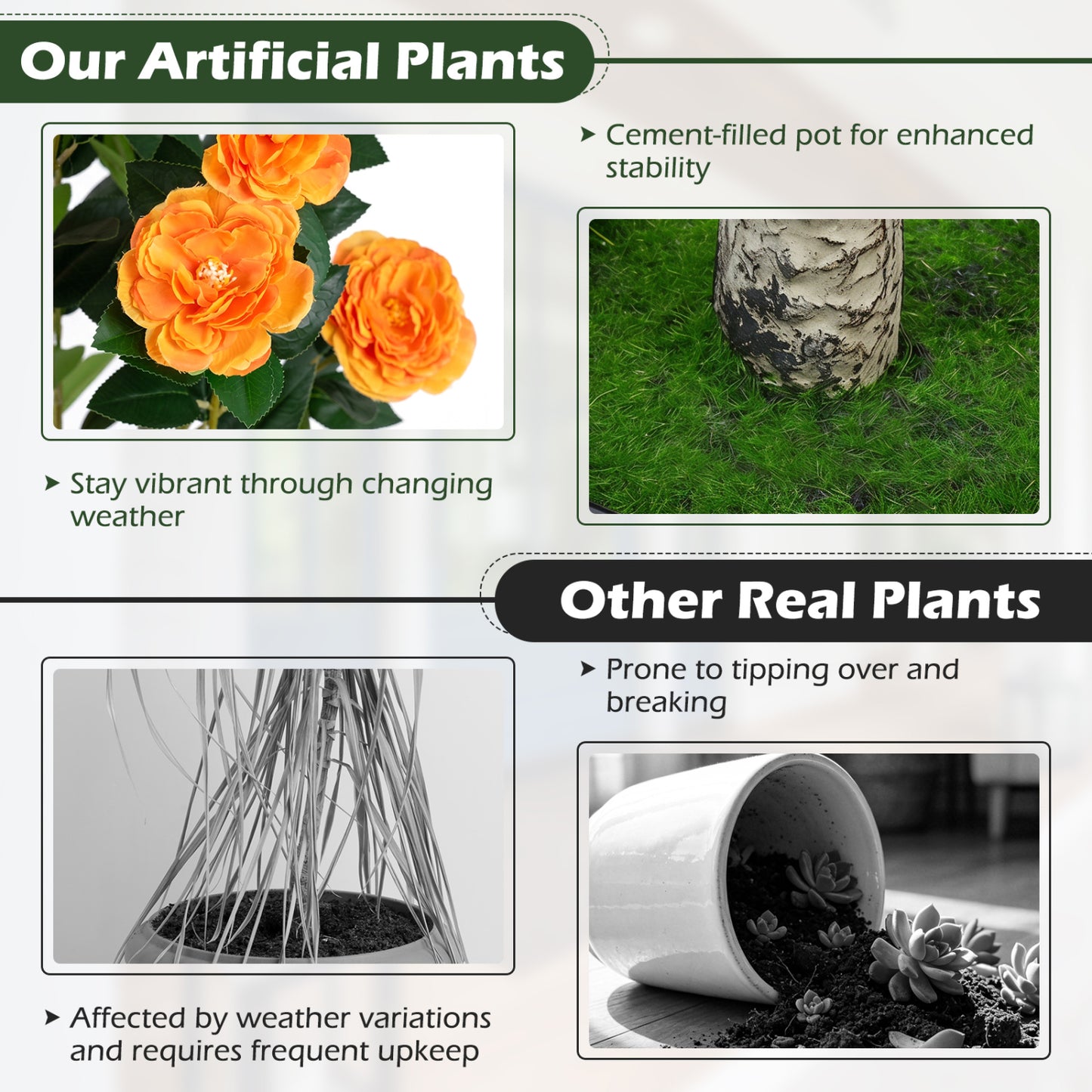 Set of 2 39.5" Artificial Camellia Trees, Cement Pots, Orange