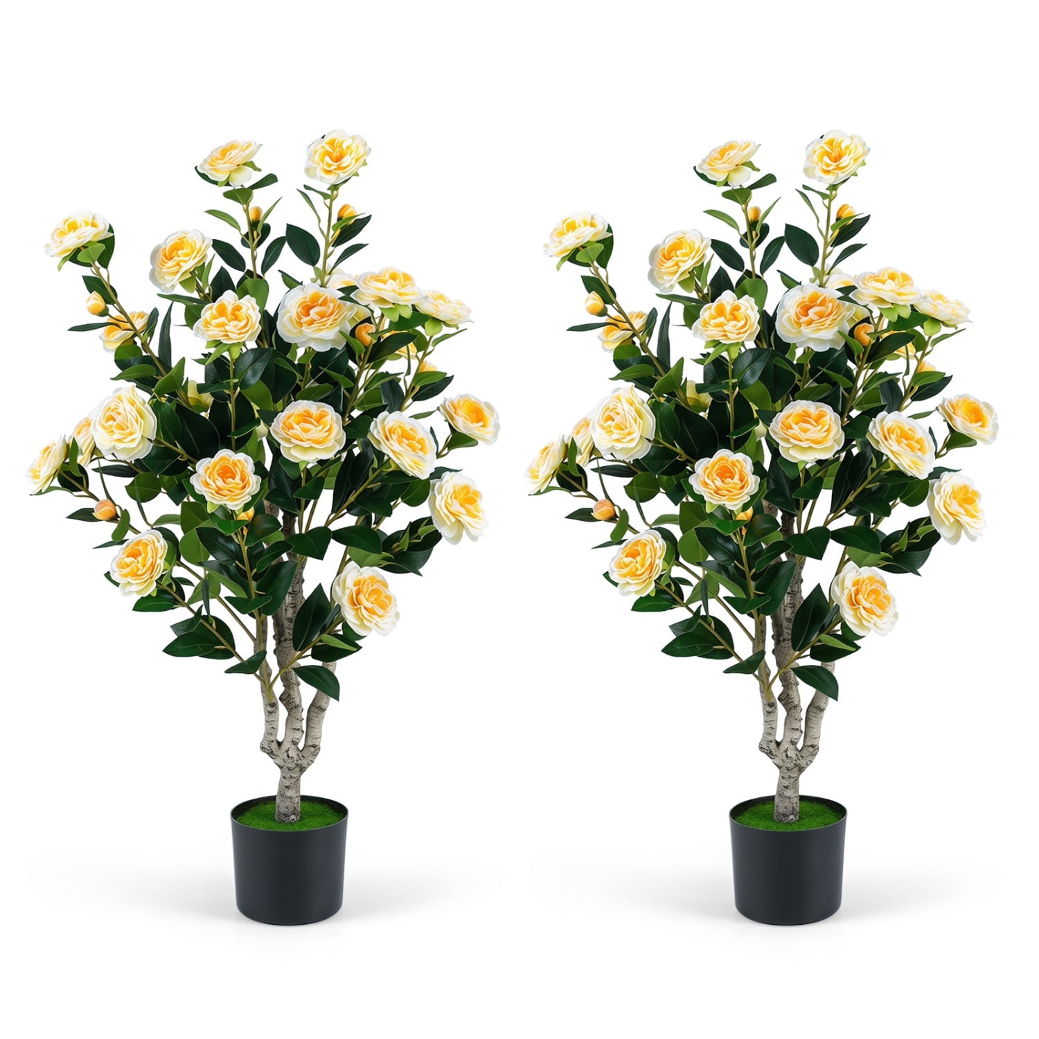 Set of 2 39.5