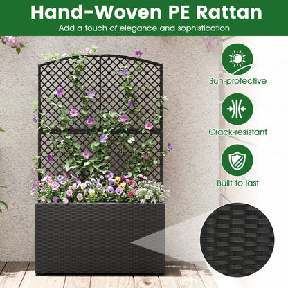 Set Of 2 49 Inch Raised Garden Bed, Trellis, Wicker Planter Box, Black Raised Garden Beds at Gallery Canada