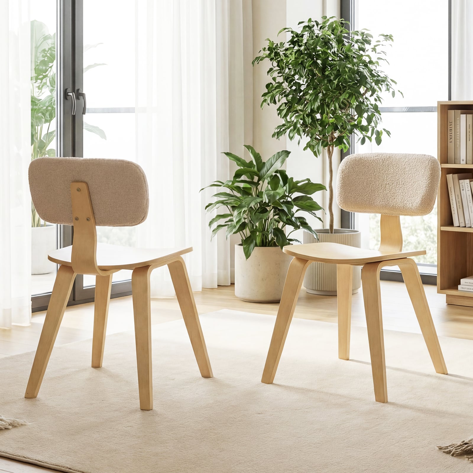 Set of 2 Rubber Wood Dining Chairs, Teddy Velvet Backrest, Natural Dining Chairs at Gallery Canada