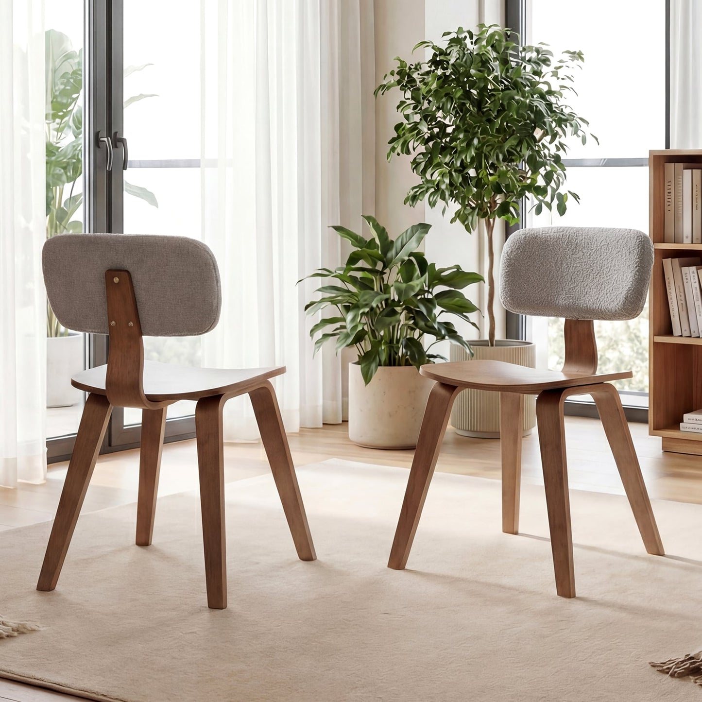 Rubber Wood Dining Chairs, Teddy Velvet Backrest, Set of 2, Walnut Dining Chairs at Gallery Canada
