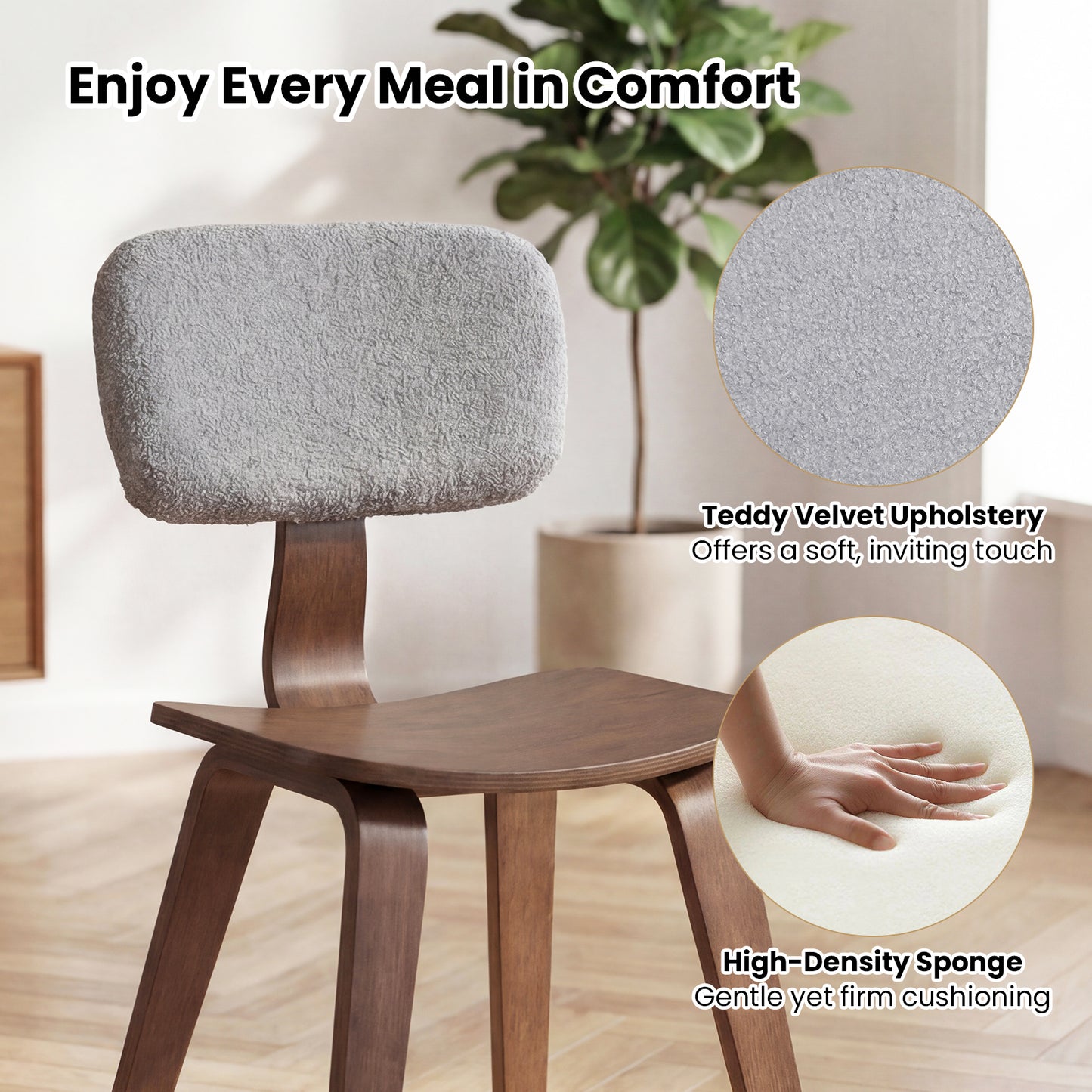 Rubber Wood Dining Chairs, Teddy Velvet Backrest, Set of 2, Walnut Dining Chairs at Gallery Canada