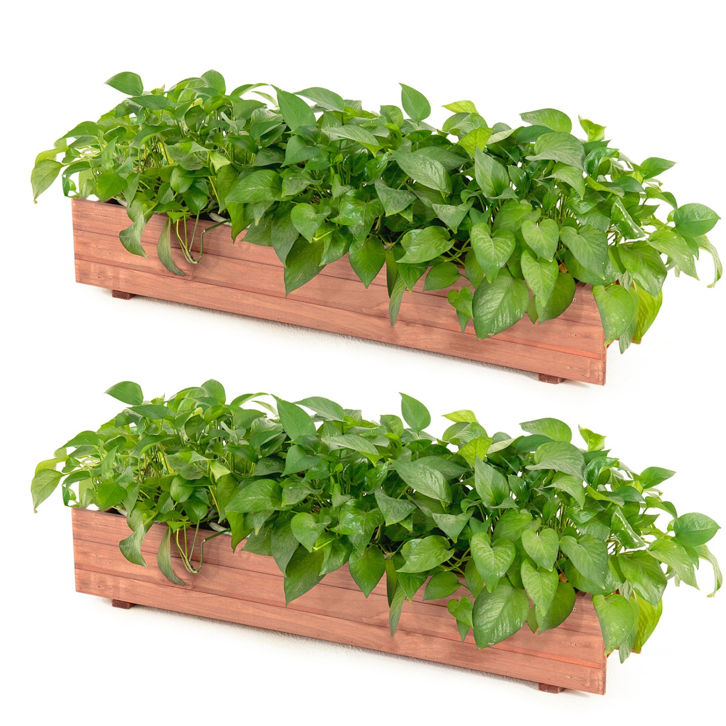 Set Of 2 Wooden Raised Garden Bed, Brown