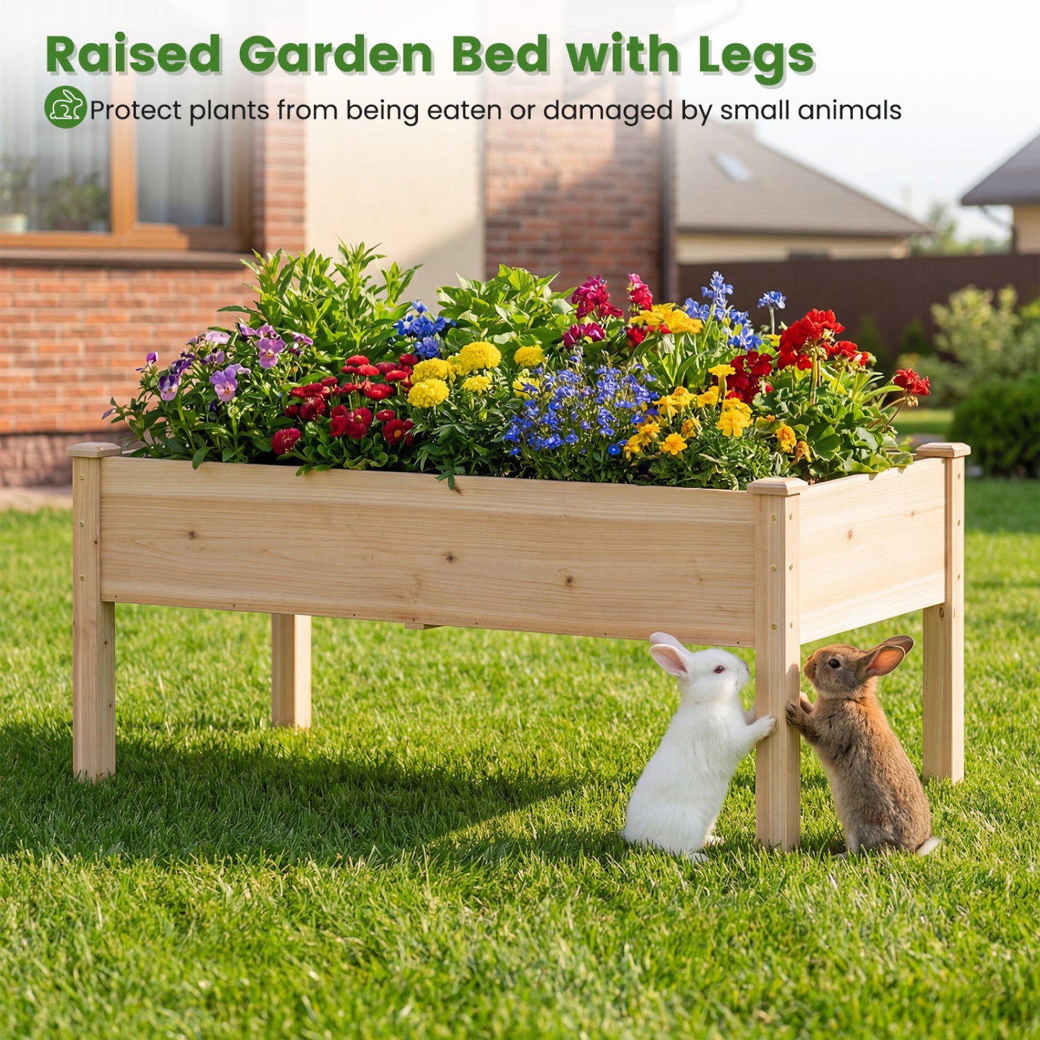 Wooden Raised Garden Bed Set, 2 Elevated Planter Boxes, Natural Fir Wood Raised Garden Beds at Gallery Canada