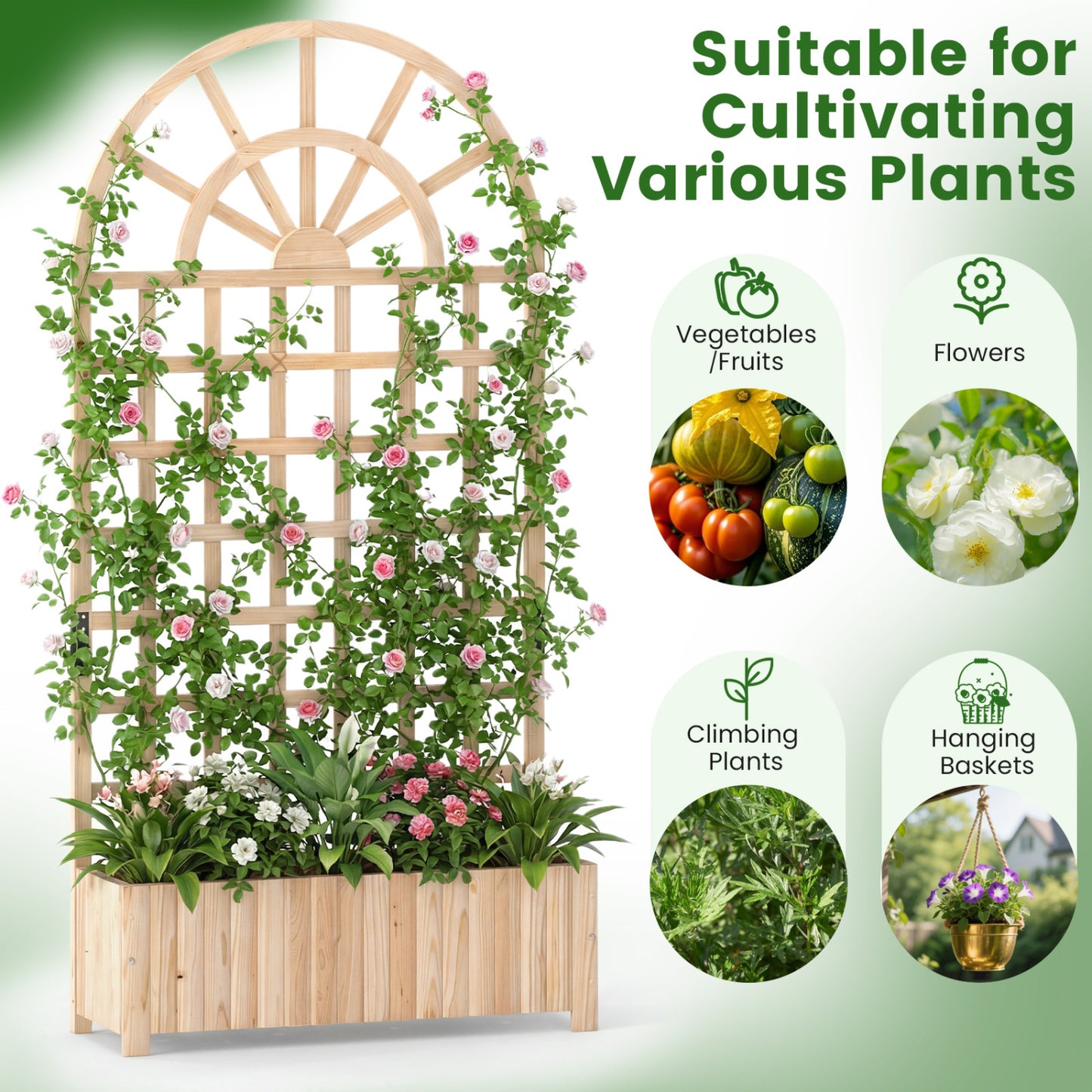 Wooden Raised Garden Bed With Trellis, 71", Set Of 2, Natural Raised Garden Beds at Gallery Canada