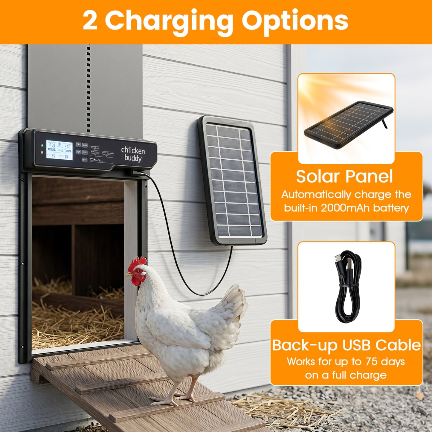 Porte automatique solaire pour poulailler