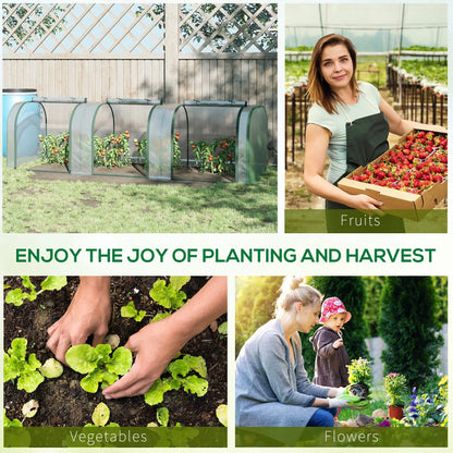 10' x 3' x 2.5' Mini Tunnel Greenhouse, 3 Zipped Doors, Clear Mini Greenhouses at Gallery Canada