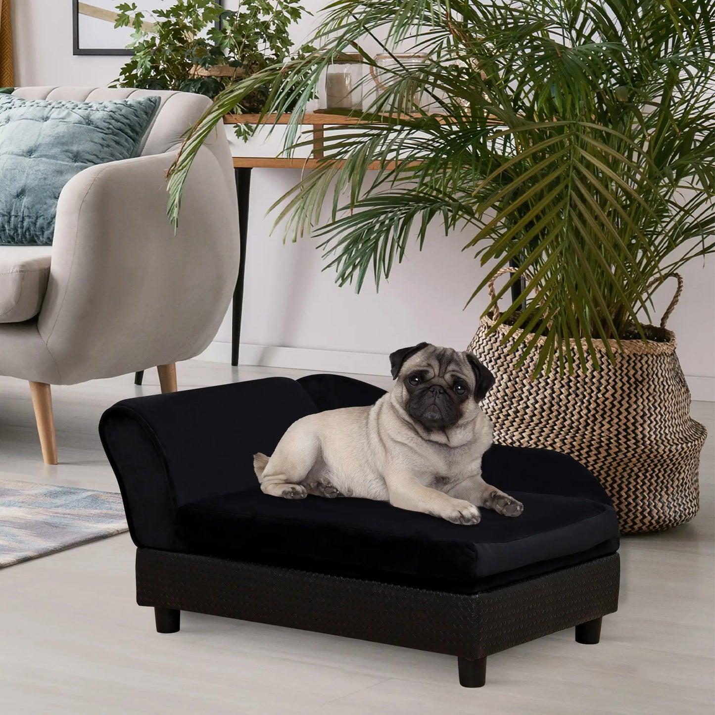 Pet Sofa Dog Couch Chaise Lounge Pet Bed with Storage Function Small Sized Dog Various Cat Sponge Cushioned Bed Lounge, Black Dog Sofas at Gallery Canada