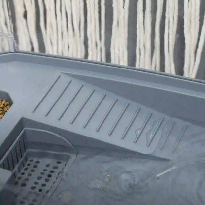 Turtle Tank Kit With Basking Platform, Water Pump, Filter Layer Design