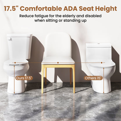 Two-Piece Round Toilet with 17.5 inch ADA Comfort Chair Height Seat, White Toilet at Gallery Canada
