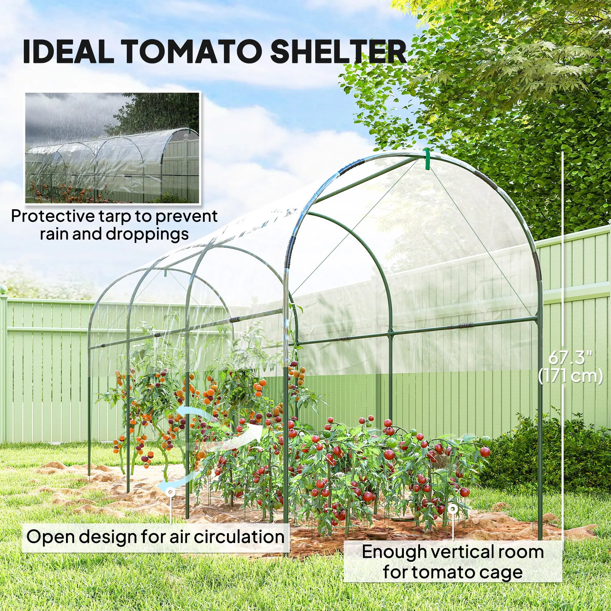 Tomato Greenhouse Tunnel, 4 Hoops, Top Tap, 157.5