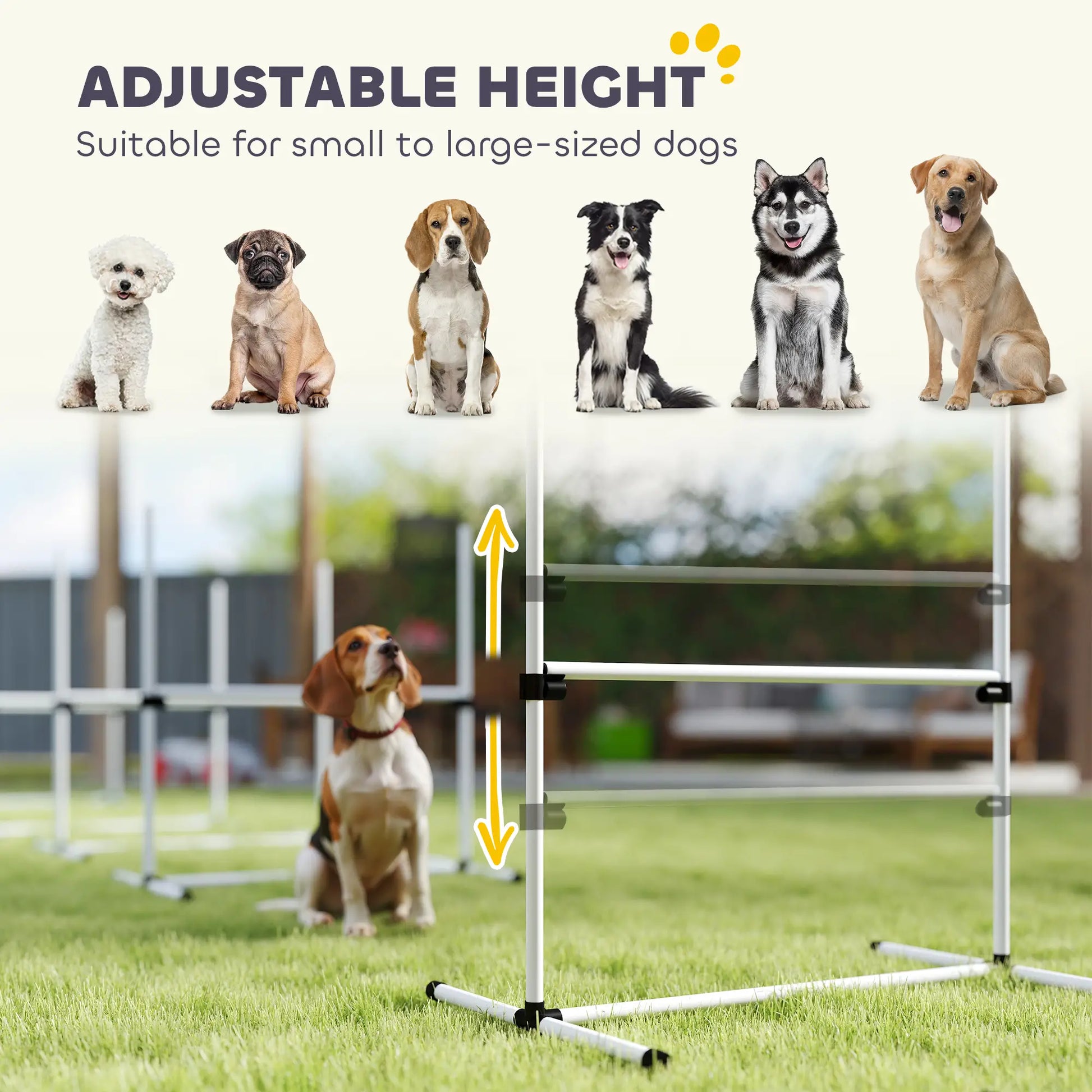 6 Pc Dog Agility Training Kit, Adjustable Jump Bar, White Dog Agility Training Equipment at Gallery Canada