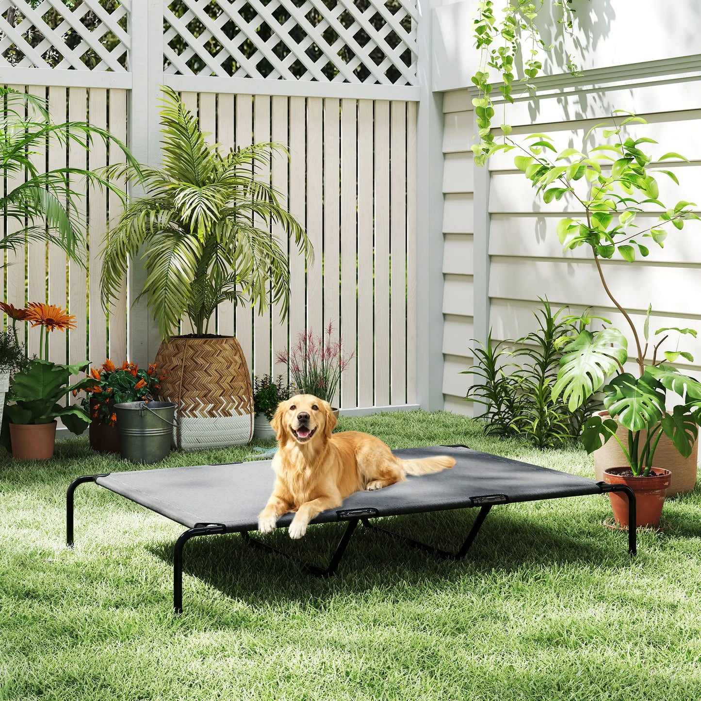 Elevated Dog Bed, Outdoor Dog Cot, Large Dogs, Breathable Mesh, Grey Elevated Dog Beds at Gallery Canada