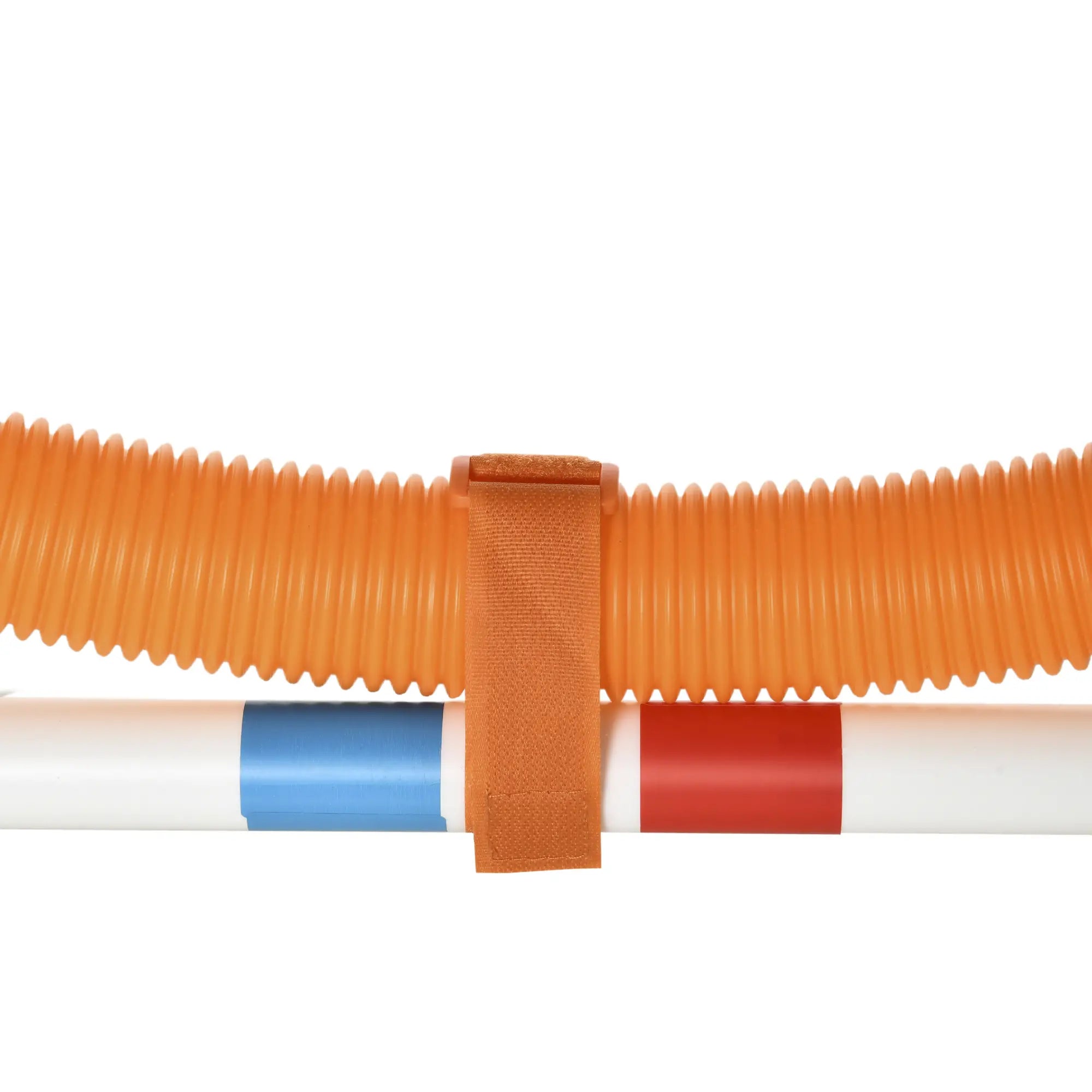 Dog Agility Training Equipment, Tire Jump Ring, Hurdle Bar, Easy Setup, Storage Bag Dog Agility Training Equipment at Gallery Canada