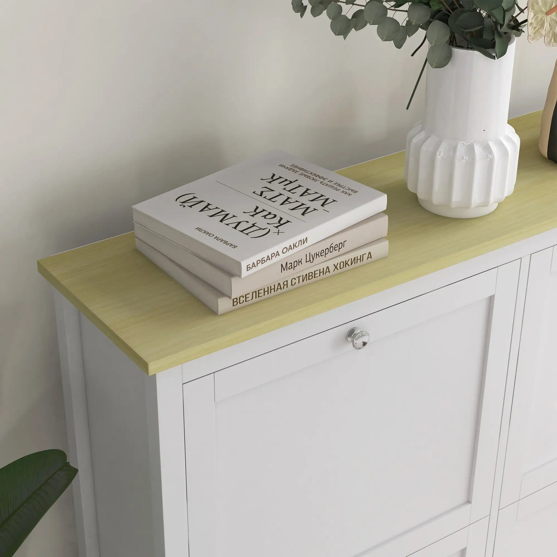 Shoe Storage Cabinet, 4 Flip Drawers, Adjustable Shelves, Holds 20 Pairs, White Shoe Storage Cabinets & Racks at Gallery Canada