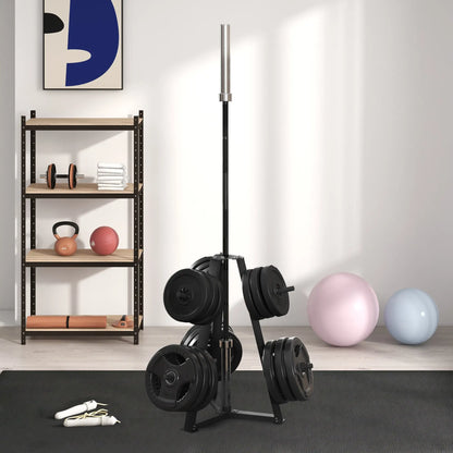 Weight Rack for 1-Inch or 2-Inch Plates, 660LBS Capacity, Home Gym Storage Benches Racks & Bars at Gallery Canada