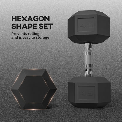 2 x 45lbs Rubber Hex Dumbbells, Fitness Training, Black Dumbbells & Barbells at Gallery Canada