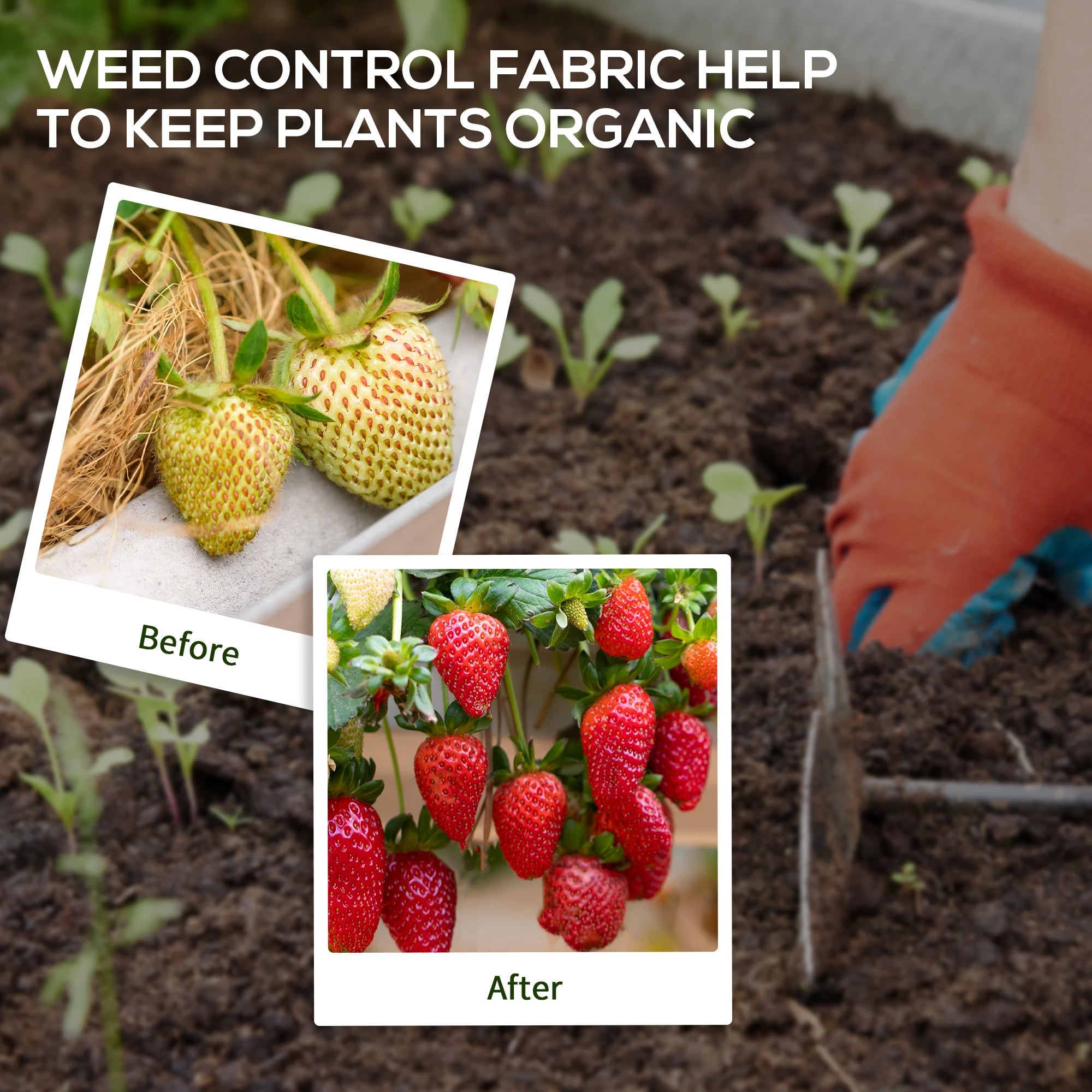 3ft x 164ft Weed Barrier, Landscape Fabric, Heavy-Duty, 2oz Weed Barrier Fabrics at Gallery Canada