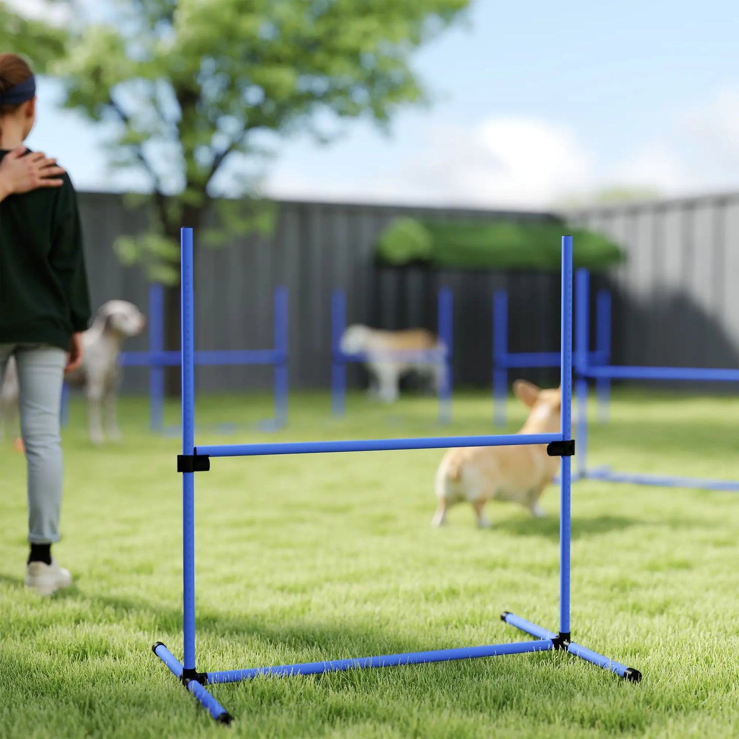 Set of 6 Dog Agility Training Jump Bars, Adjustable, Blue Dog Agility Training Equipment at Gallery Canada