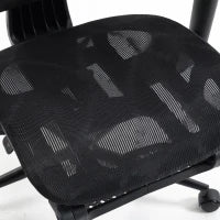 Ergonomic Office Chair, Lumbar Support, 2D Headrest, Mesh Reclining, Black