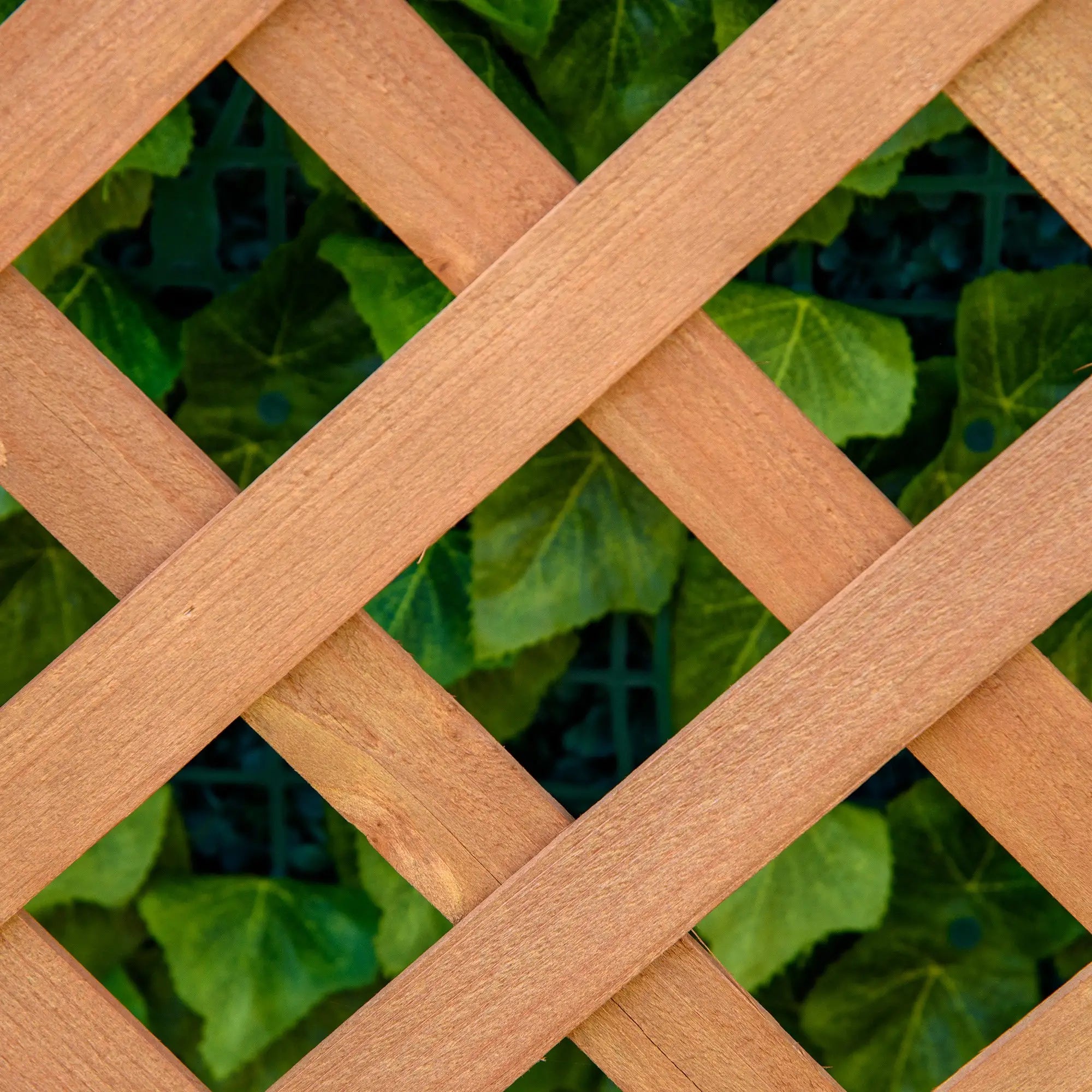 Wood Planter with Trellis, Raised Garden Bed, 28