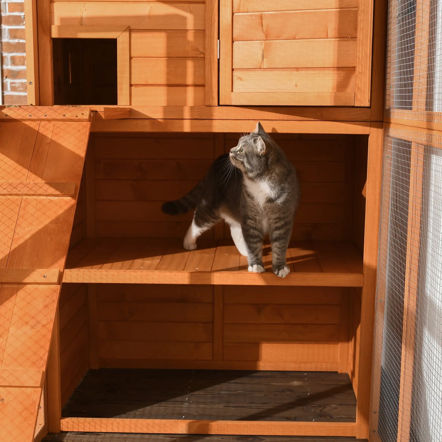 68.75" H Large Wooden Outdoor Cat House with Run, Catio, Condo, Natural Outdoor Cat Enclosures at Gallery Canada