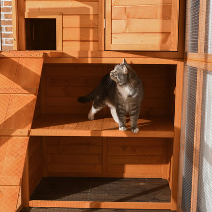 68.75" H Large Wooden Outdoor Cat House with Run, Catio, Condo, Natural Outdoor Cat Enclosures at Gallery Canada