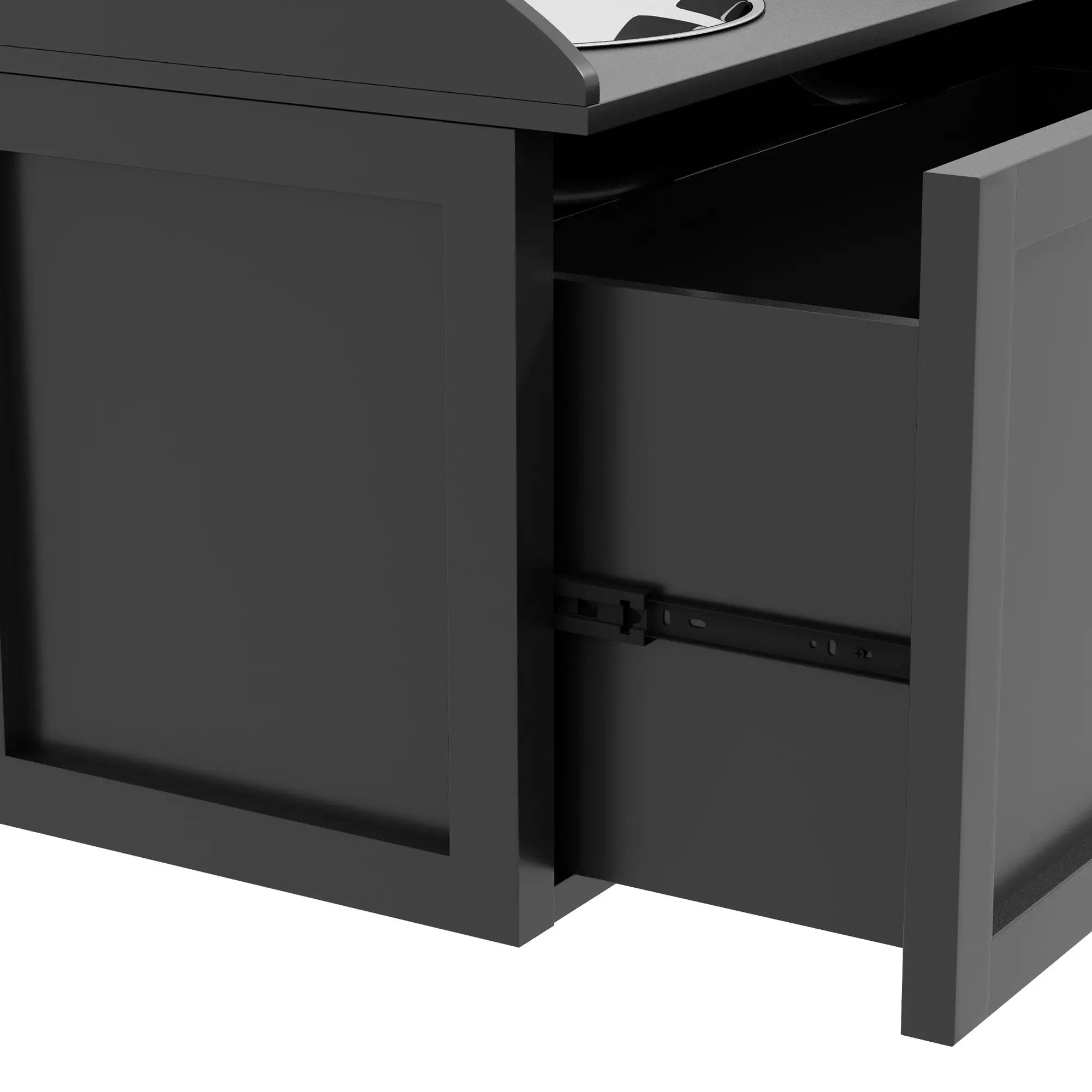 Raised Dog Bowls with Storage, 2 Stainless Steel Bowls, 23.6