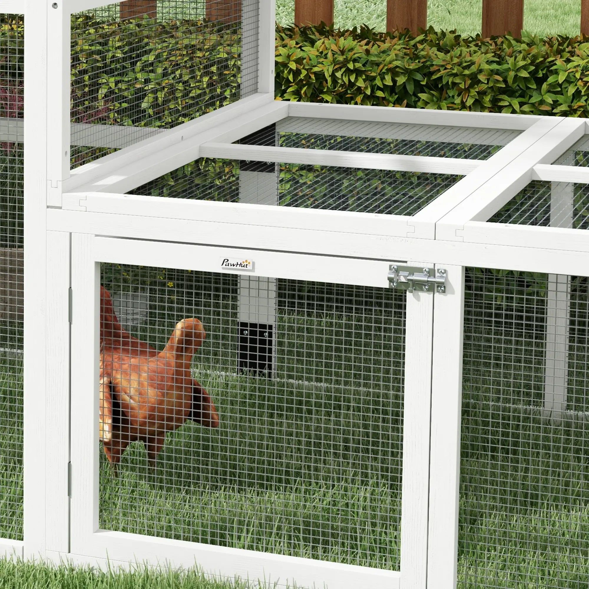 7.3' x 3.6' Wooden Chicken Coop, Storage Shelf, White Chicken Coops at Gallery Canada