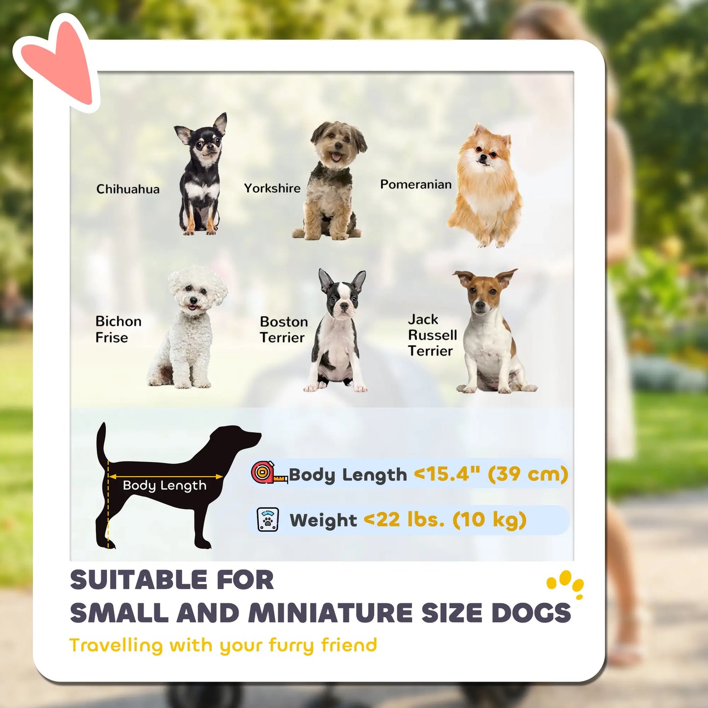 Double Pet Stroller, Foldable Dog Stroller with 2-Seater Carrier, Sunshade, Removable Pad, Safety Belt, Storage Basket Dog Bike Trailers & Strollers at Gallery Canada