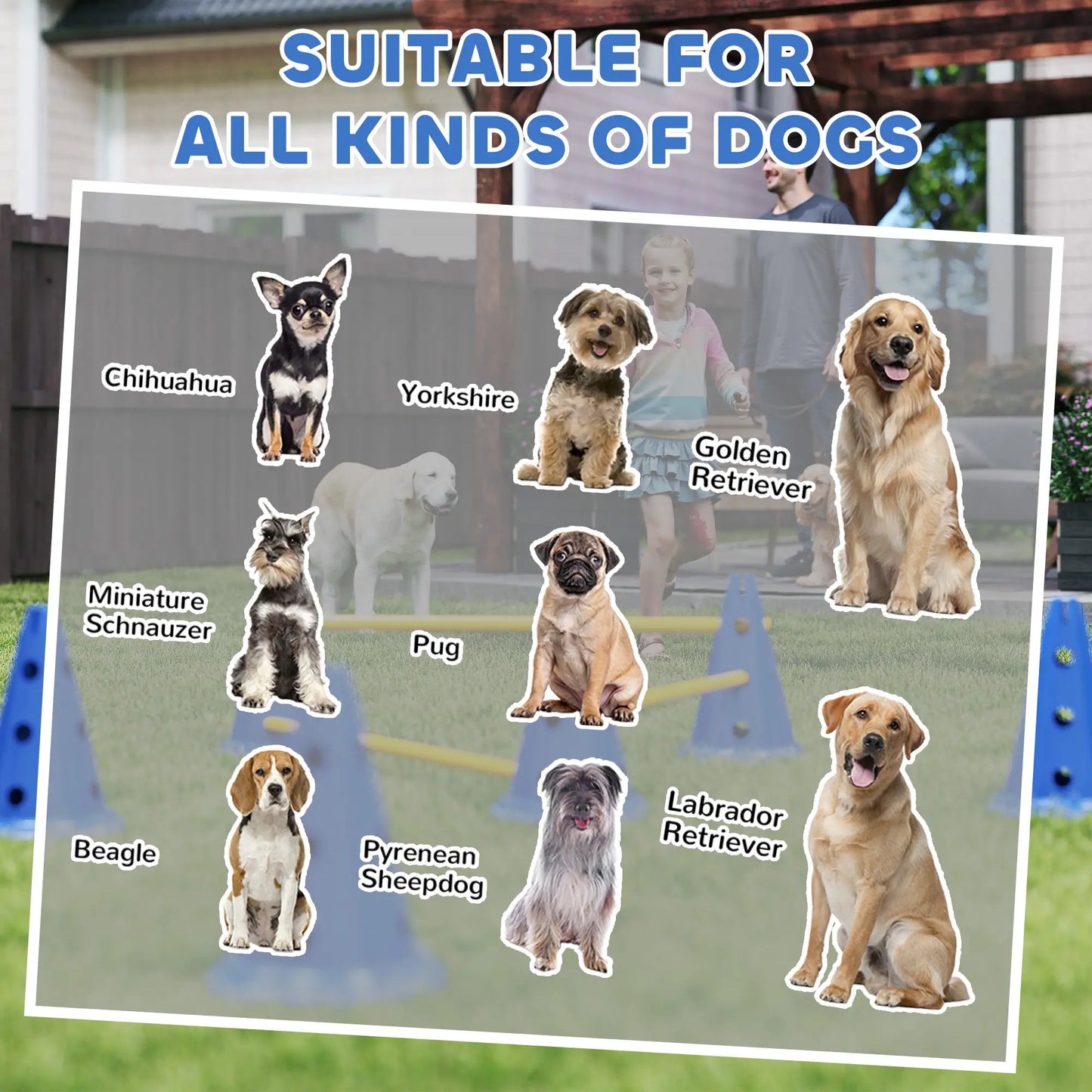 Dog Agility Hurdle Cone Set, Adjustable Obstacle Course, 6 Cones & Poles, Blue Dog Agility Training Equipment at Gallery Canada