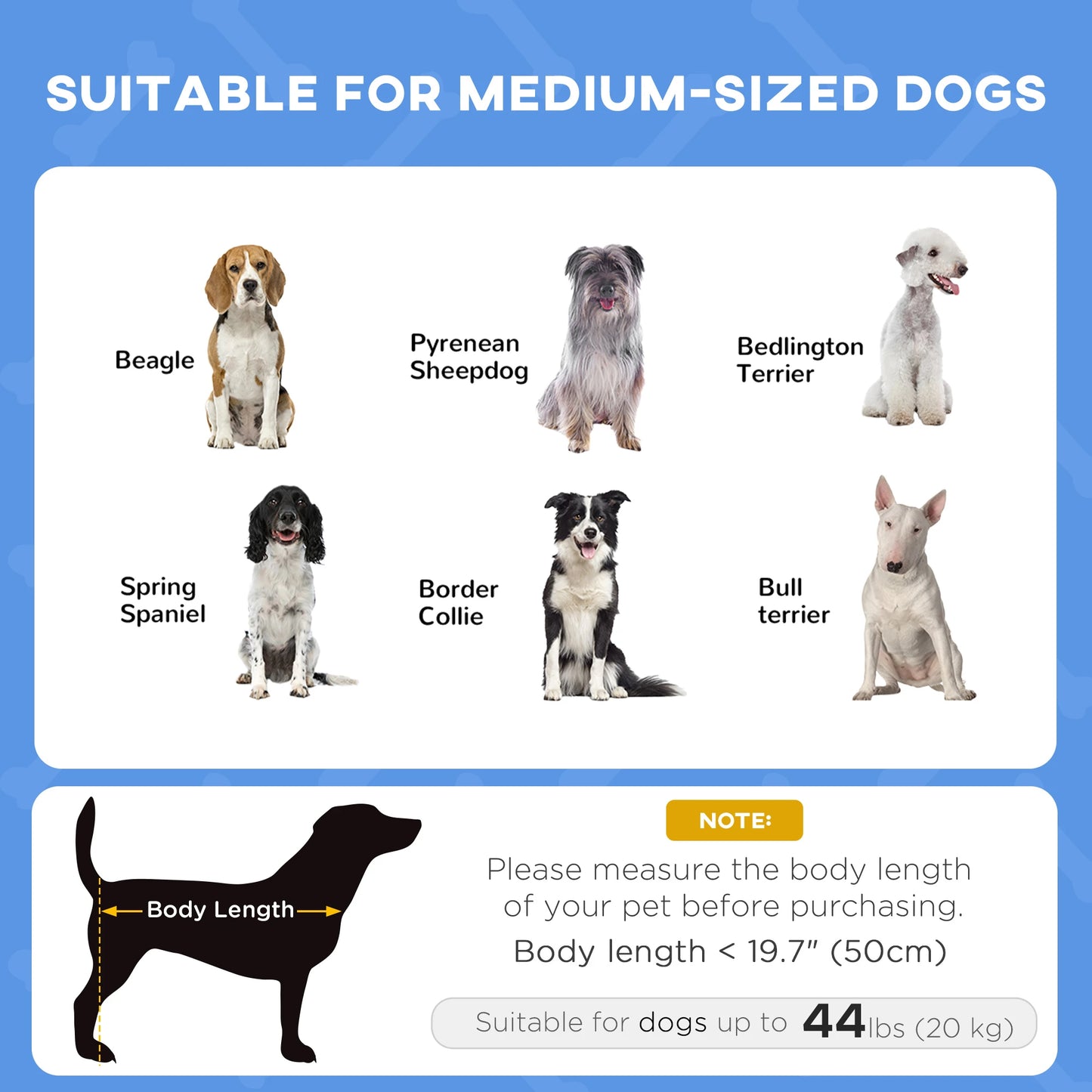 Portable Raised Dog Cot with Canopy, Medium Size, Dark Blue Elevated Dog Beds at Gallery Canada