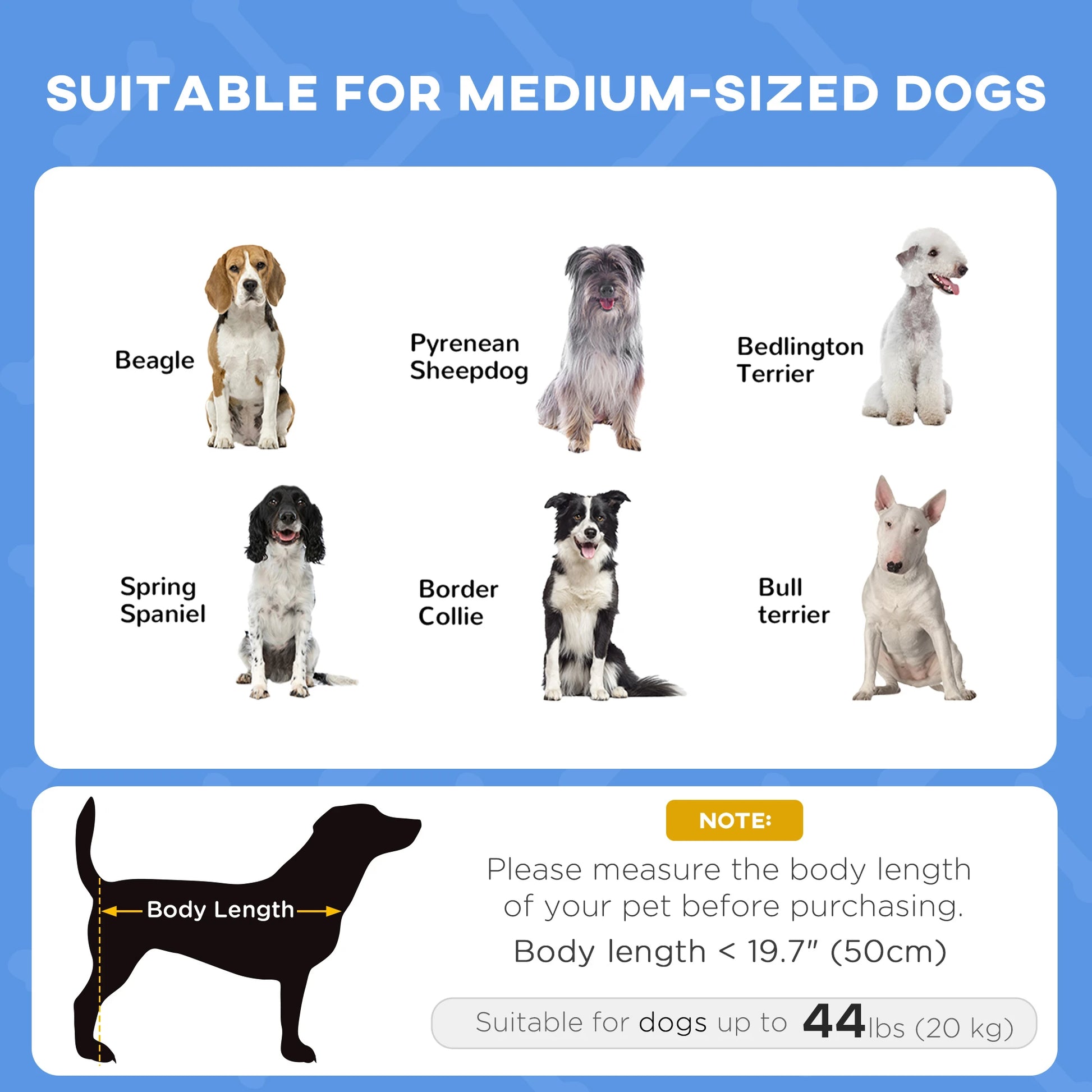 Portable Raised Dog Cot with Canopy, Medium Size, Dark Blue Elevated Dog Beds at Gallery Canada