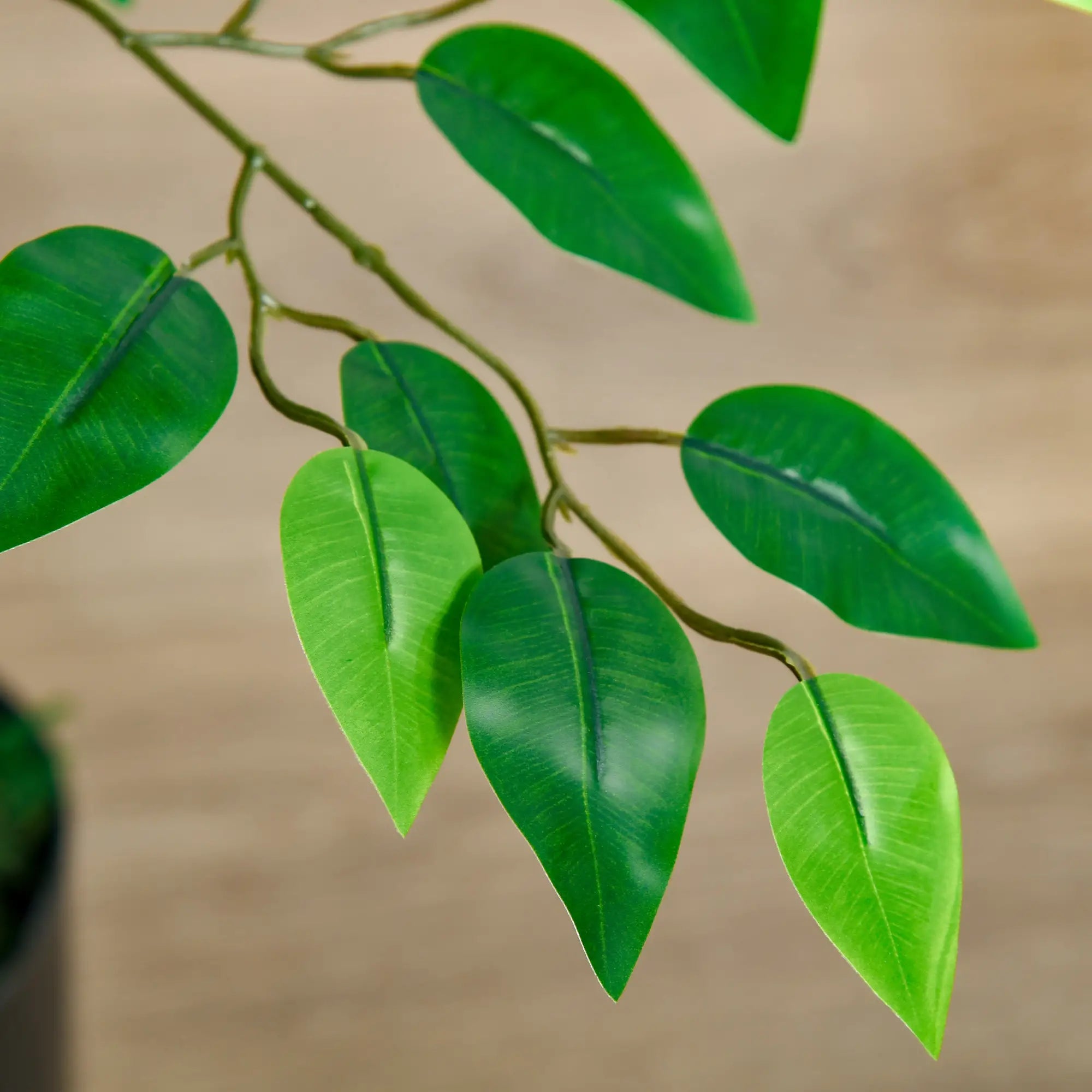 4.5ft Ficus Artificial Plant, Realistic Leaves, Potted, Green Artificial Trees at Gallery Canada