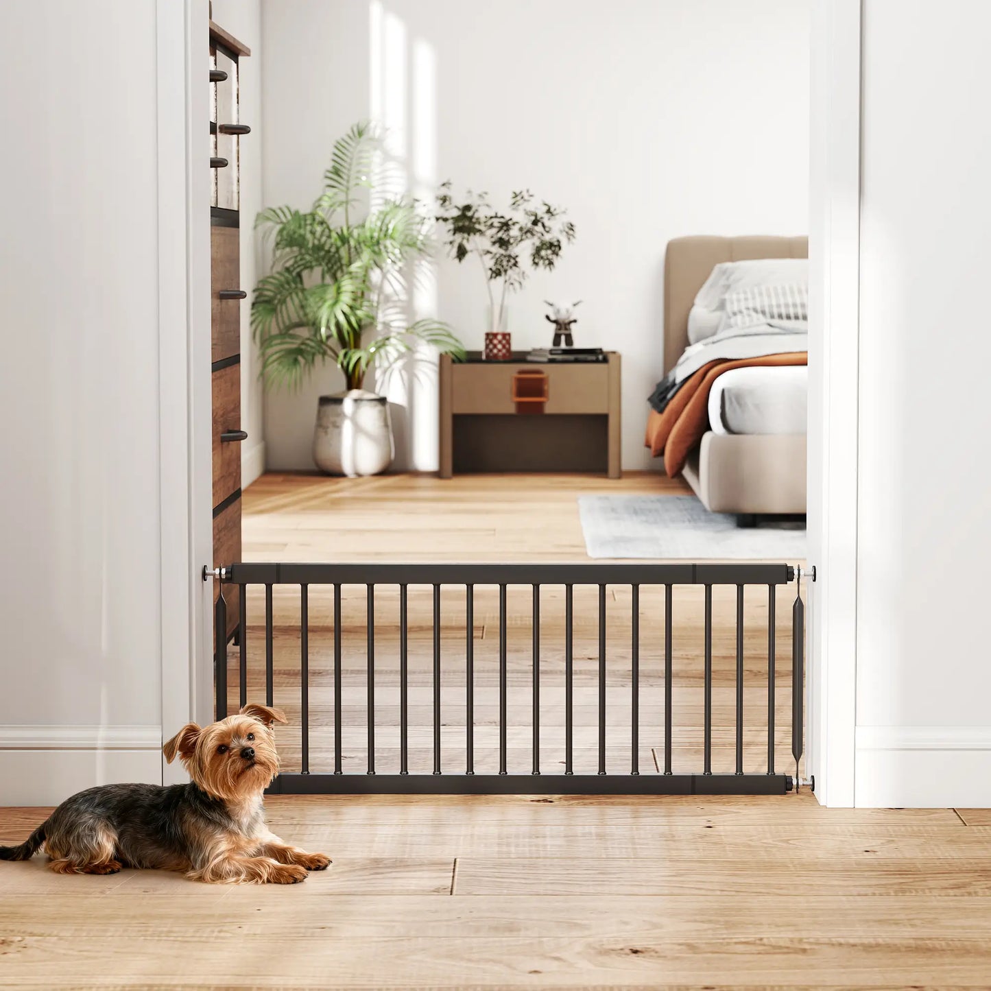 26"-37" Dog Gate, Adjustable Pet Gate, 14" Tall, Black Pet Gates at Gallery Canada