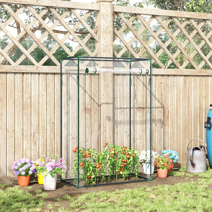 40"L x 20"W x 59"H Walk-In Greenhouse, Steel Frame, Roll-Up Door, Clear Walk In Greenhouses at Gallery Canada