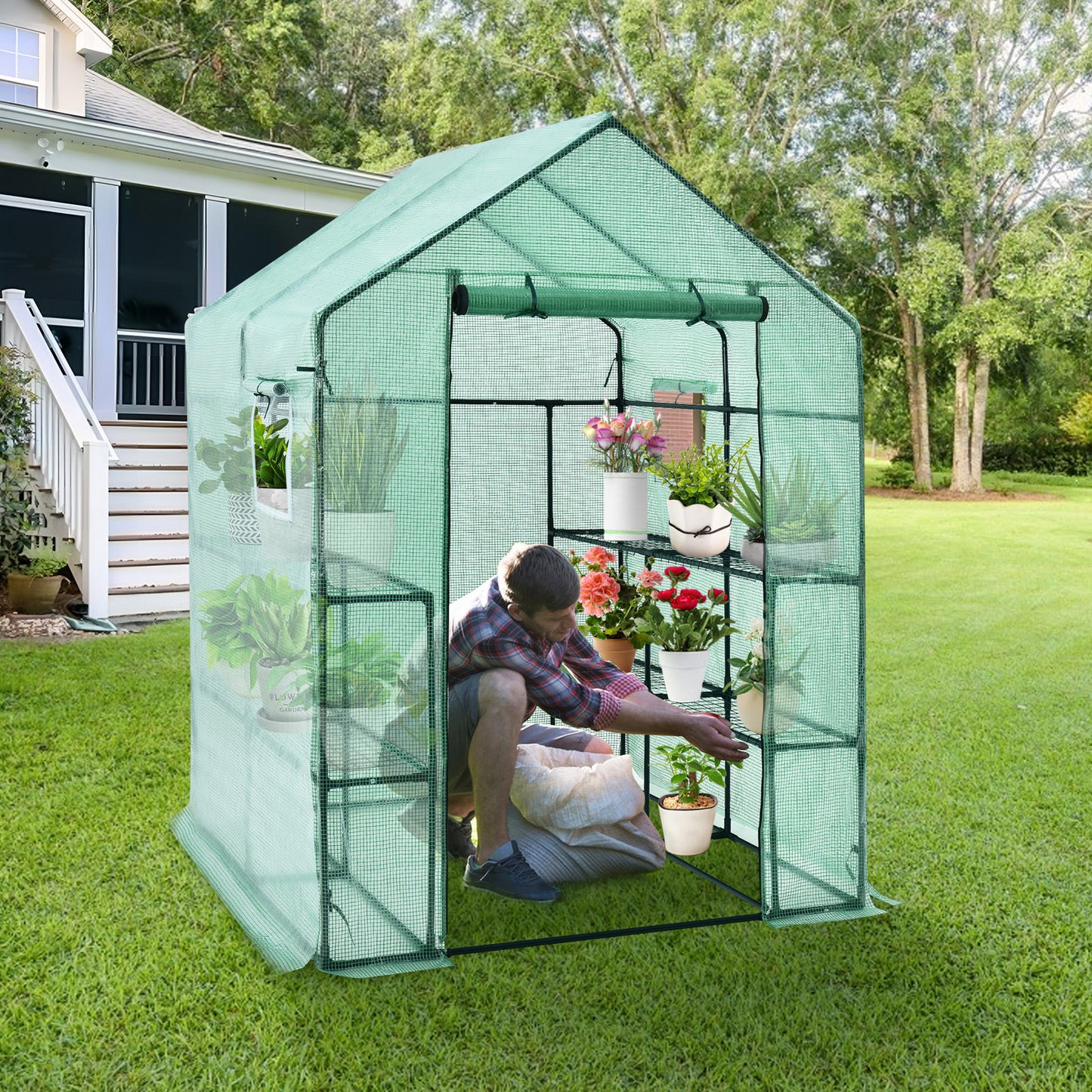 Walk-In Greenhouse, 56 x 56 x 77 Inch, Observation Windows, Green