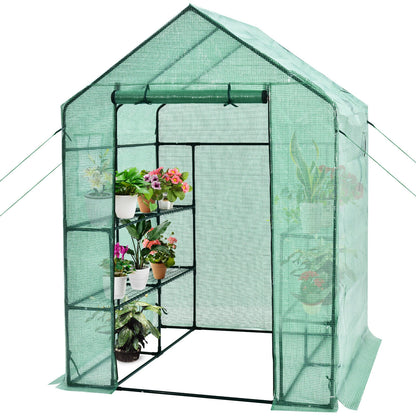Walk-In Greenhouse, 56 x 56 x 77 Inch, Observation Windows, Green