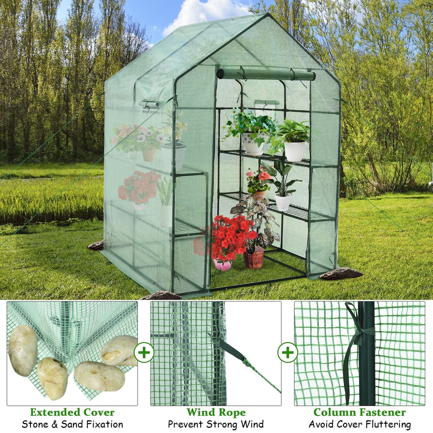 Walk-In Greenhouse, 56 x 56 x 77 Inch, Observation Windows, Green